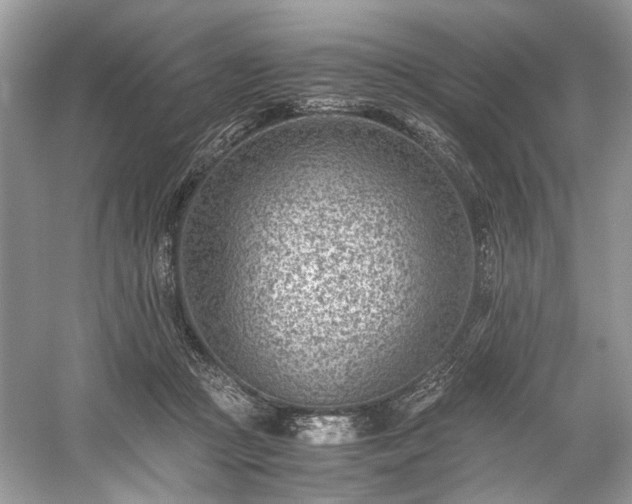 X0000059090361200510101151