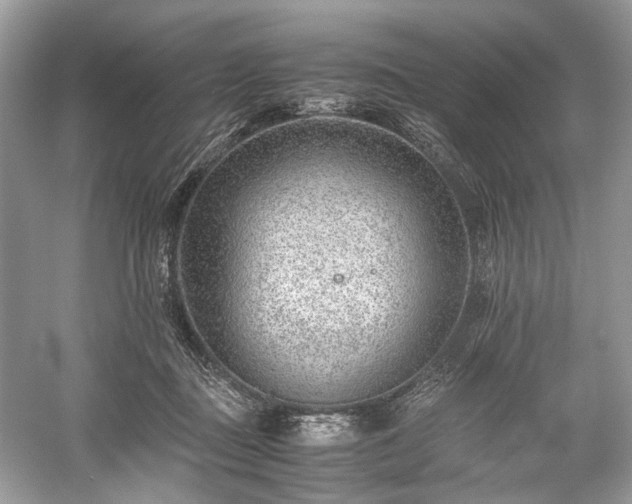 X0000059090363200510101151