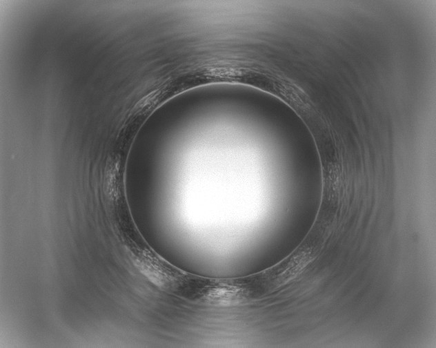 X0000059090364200510101151