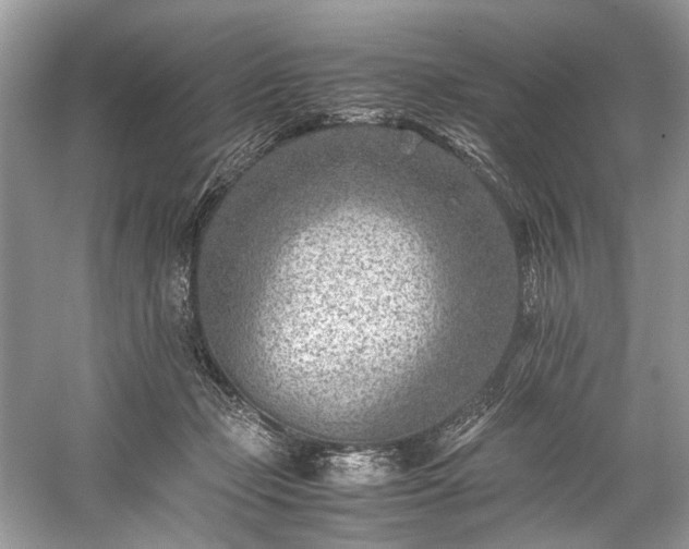 X0000059090365200510101151