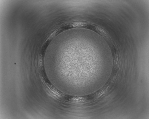 X0000059090367200510101151