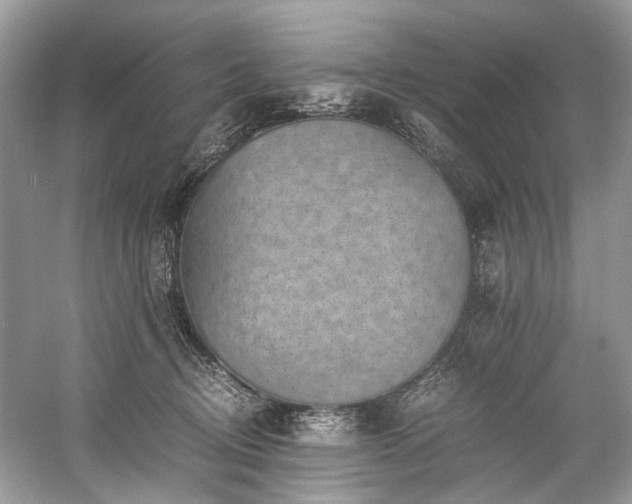 X0000059090370200510101151