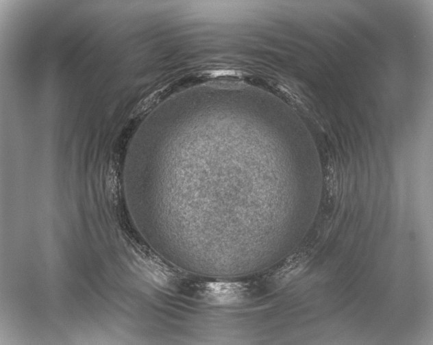 X0000059090371200510101151