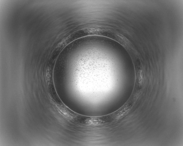 X0000059090372200510101151