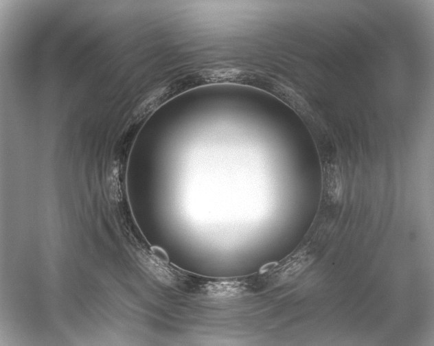 X0000059090378200510101151