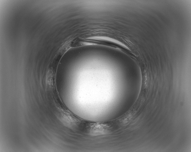 X0000059090379200510101151