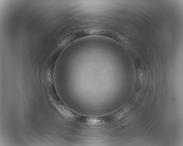 X0000059090380200510101151