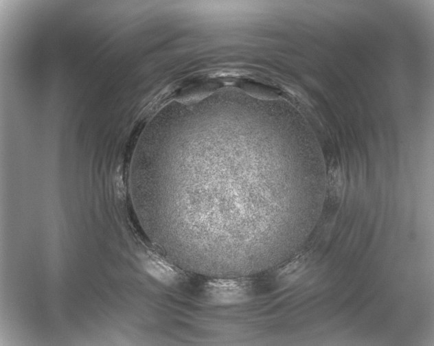 X0000059090381200510101151