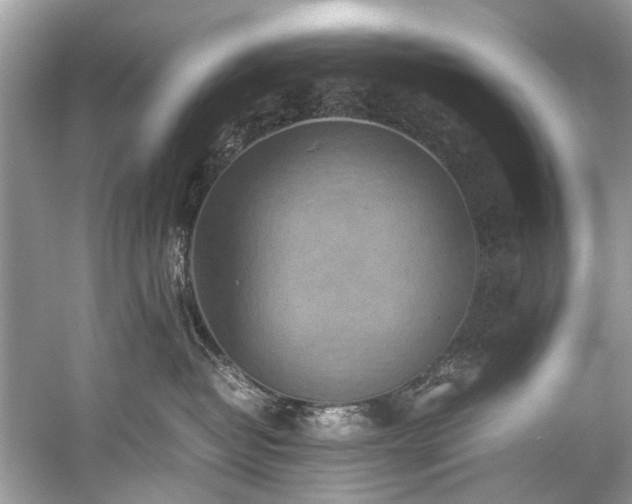 X0000059090382200510101151