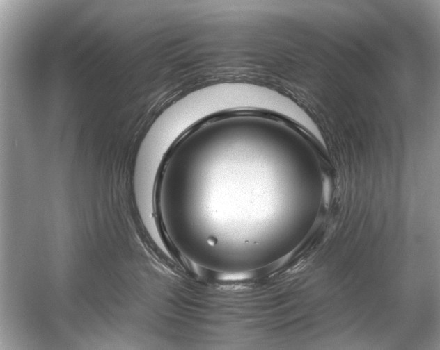 X0000059090383200510101151