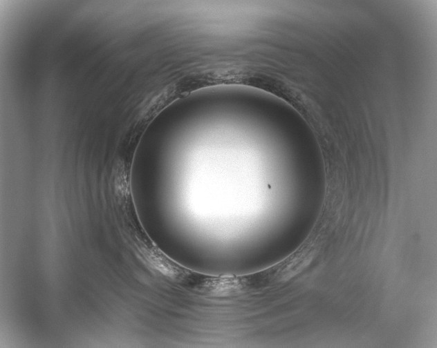 X0000059090384200510101151