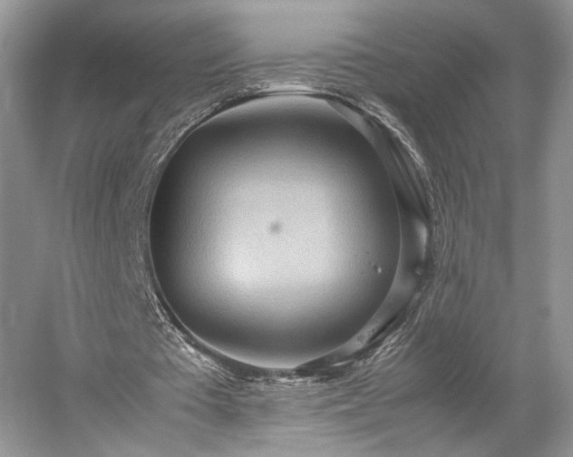 X0000059090385200510101150