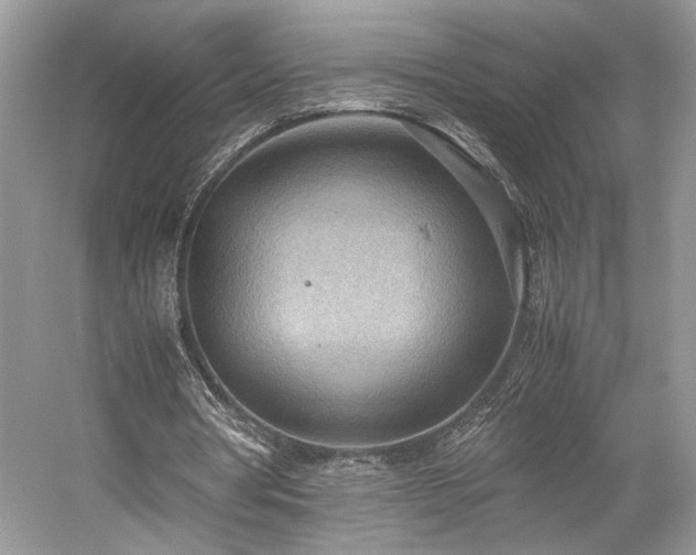 X0000059090386200510101150