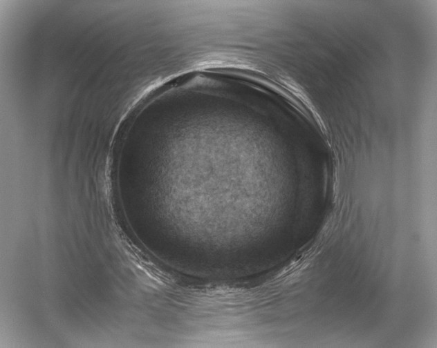 X0000059090387200510101150