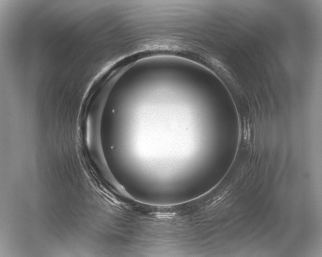 X0000059090388200510101150