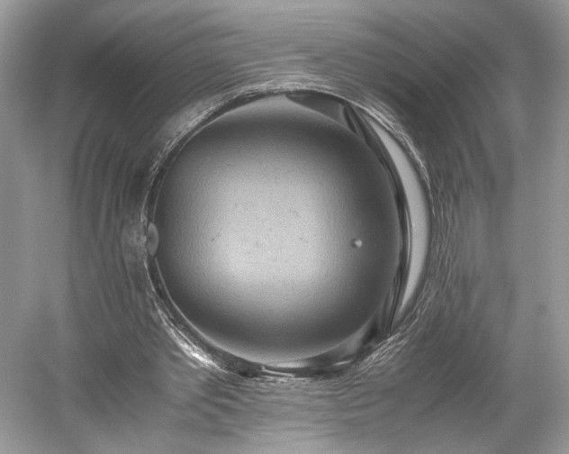 X0000059090389200510101150