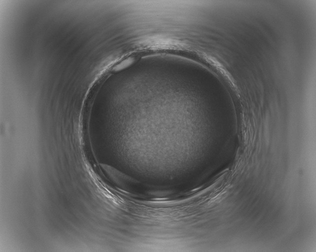 X0000059090391200510101150