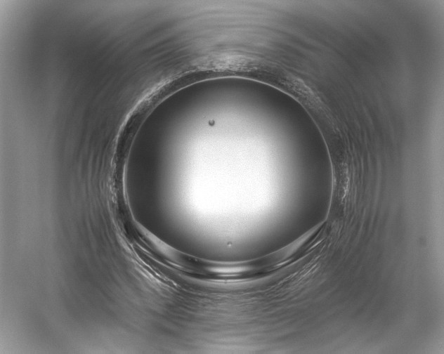 X0000059090392200510101150