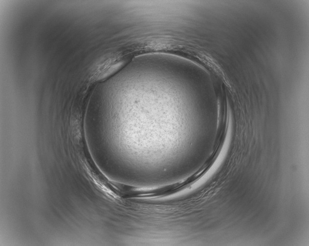 X0000059090393200510101150