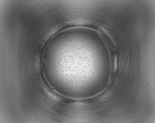 X0000059090394200510101150