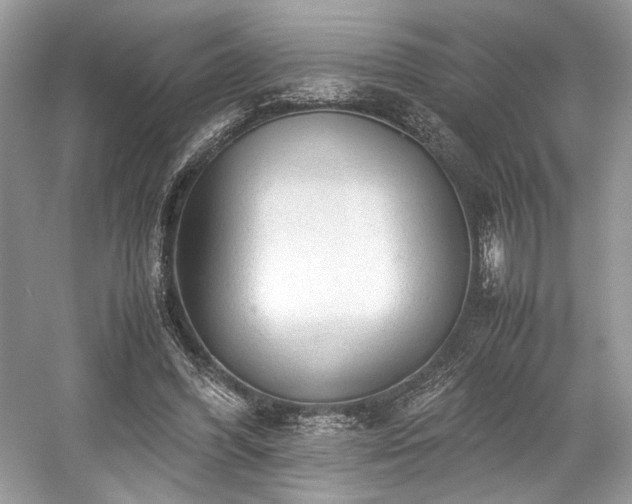 X0000059090396200510101150