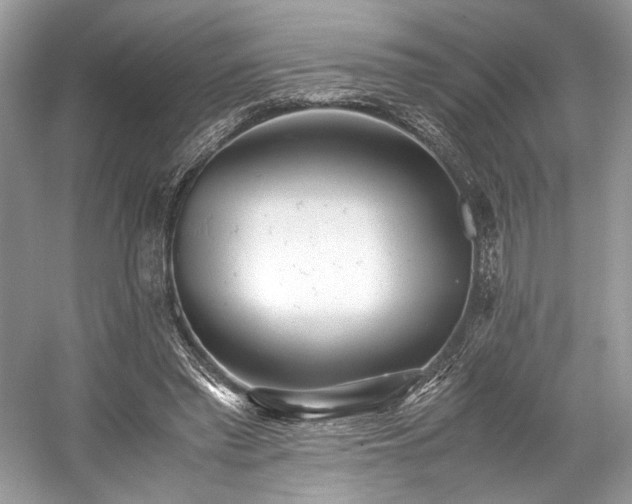 X0000059090397200510101150