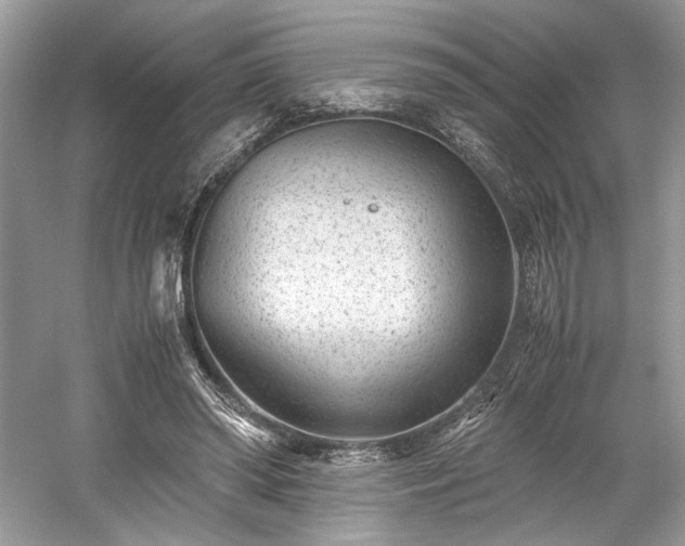 X0000059090398200510101150