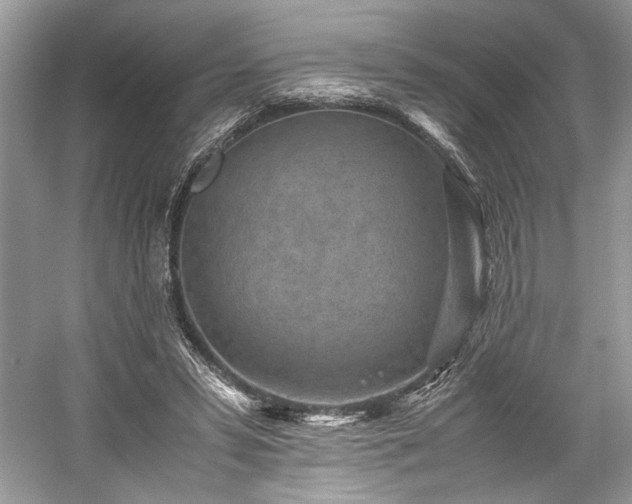 X0000059090399200510101150