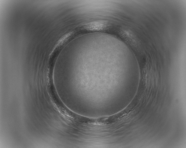 X0000059090400200510101150