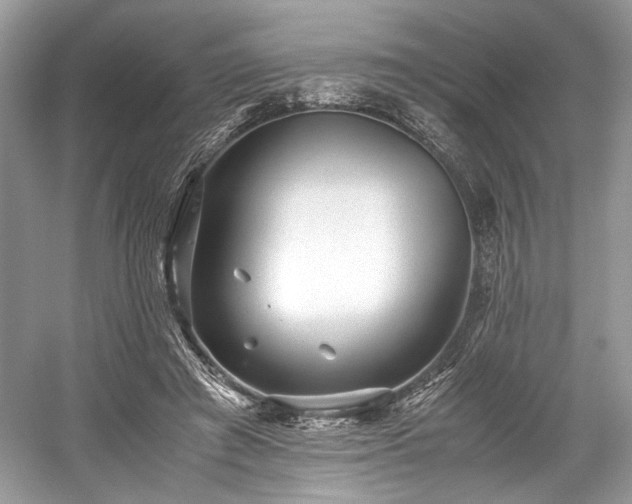 X0000059090401200510101150