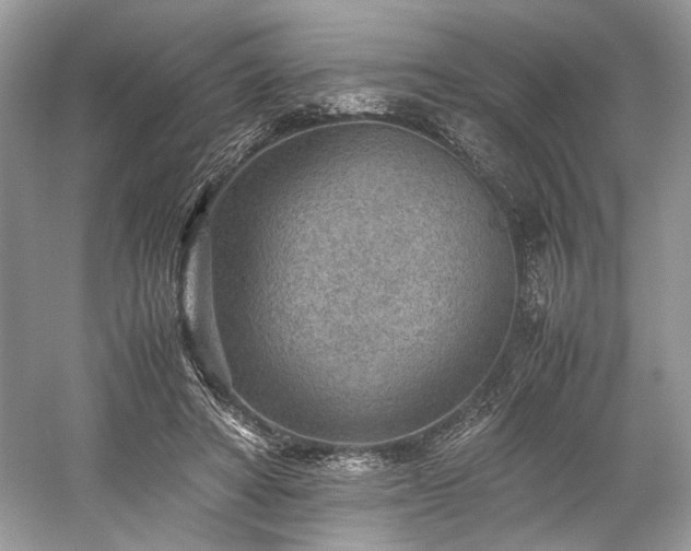 X0000059090402200510101150