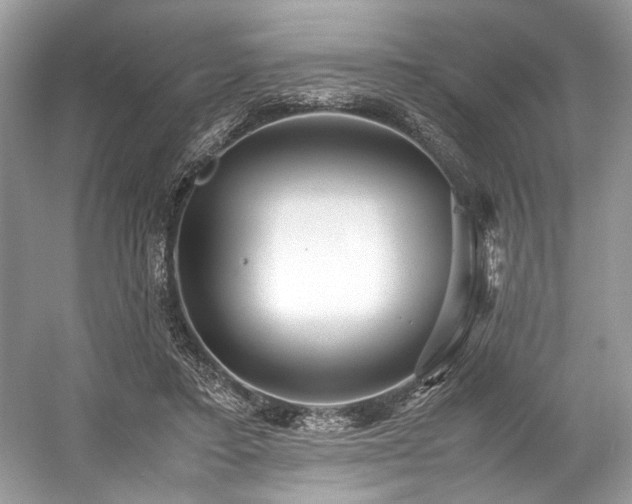 X0000059090403200510101150