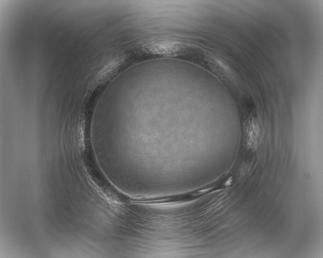 X0000059090404200510101150