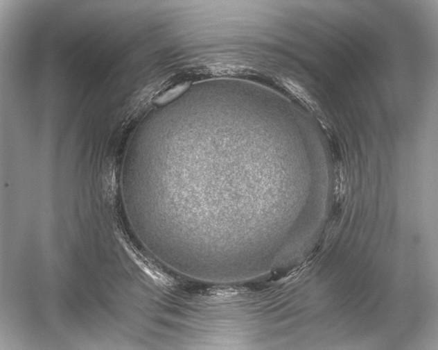 X0000059090405200510101150