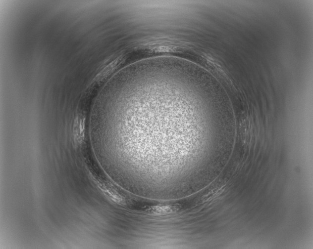 X0000059090406200510101150