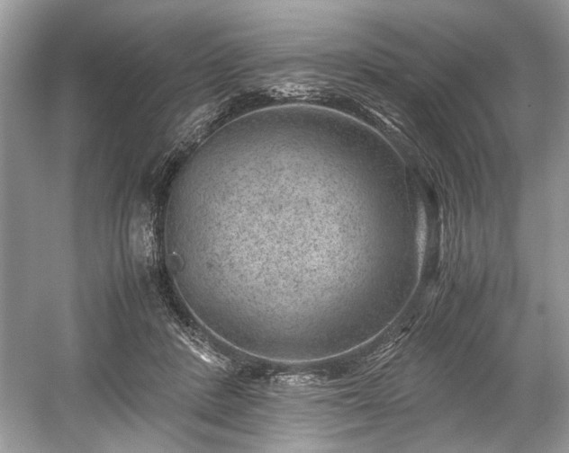 X0000059090408200510101150