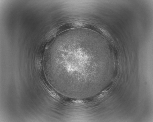 X0000059090409200510101150