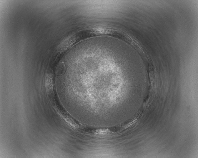 X0000059090410200510101150