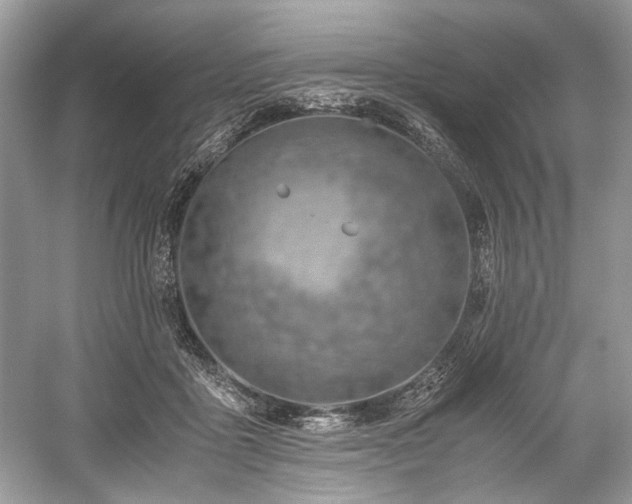 X0000059090411200510101150