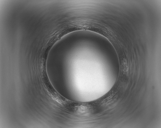 X0000059090412200510101150