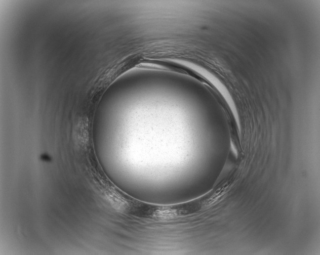 X0000059090413200510101150