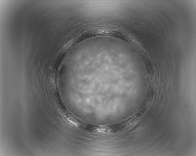 X0000059090415200510101150