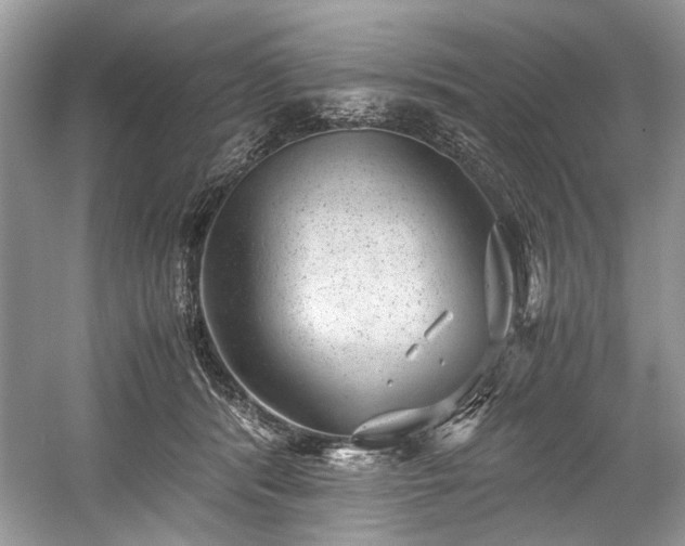 X0000059090416200510101150