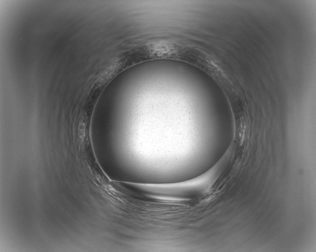 X0000059090417200510101150