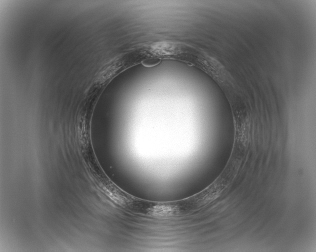 X0000059090418200510101150