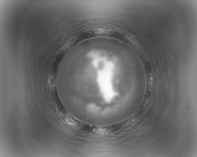 X0000059090419200510101150