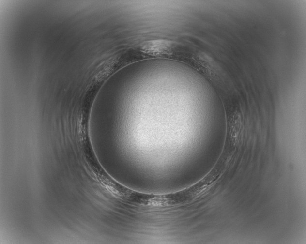 X0000059090420200510101150