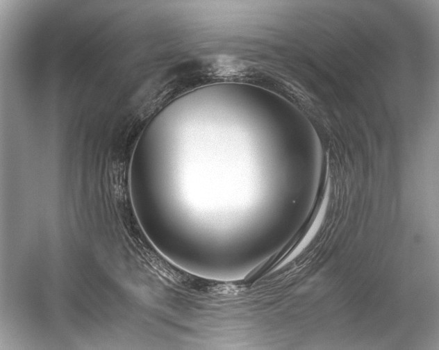 X0000059090421200510101149