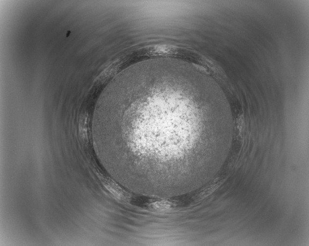 X0000059090423200510101149