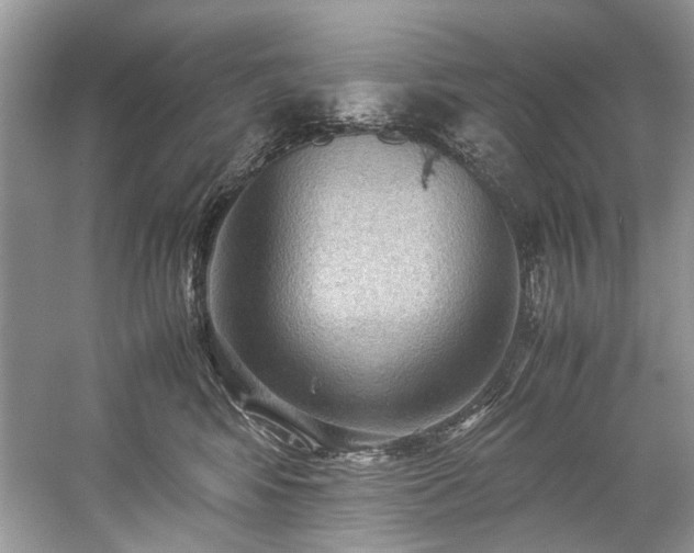 X0000059090424200510101149